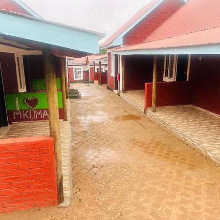 Mkomazi Hotels And Camps Hegoma Exteriör bild