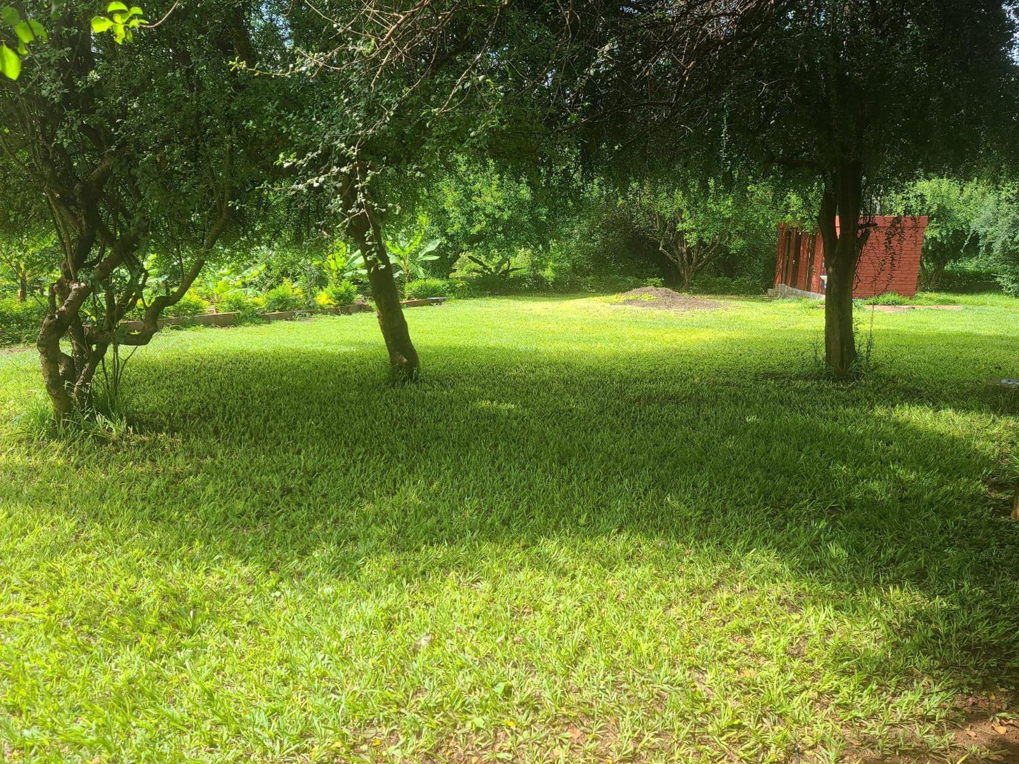 Mkomazi Hotels And Camps Hegoma Exteriör bild
