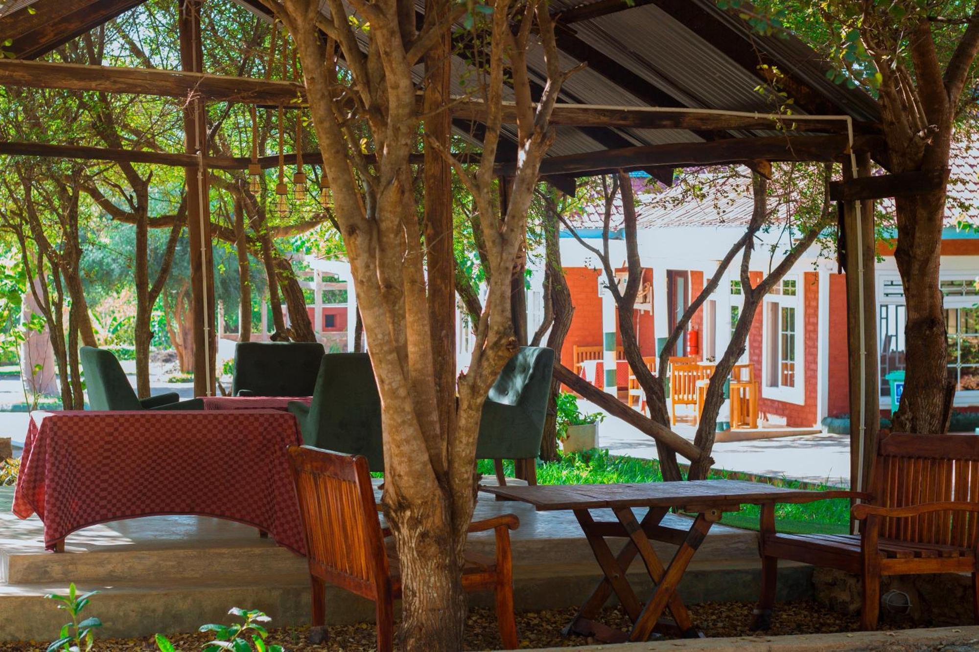 Mkomazi Hotels And Camps Hegoma Exteriör bild